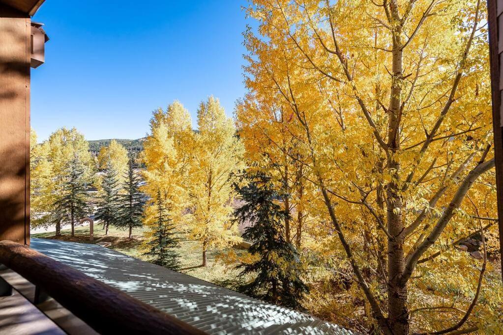 Ski-In/Ski-Out Zephyr 1 Bedroom Condo ווינטר פארק מראה חיצוני תמונה